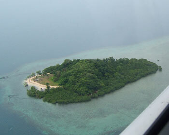 Flower Island